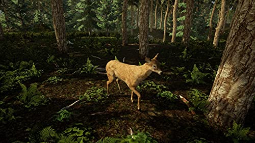 TheGamery.co.uk