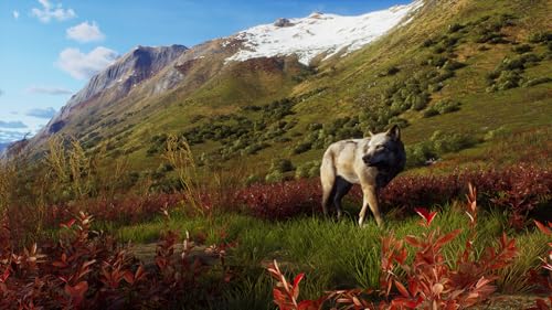 TheGamery.co.uk