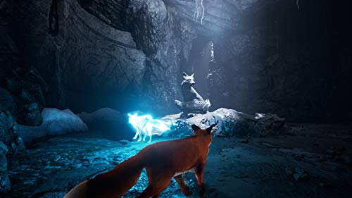 TheGamery.co.uk