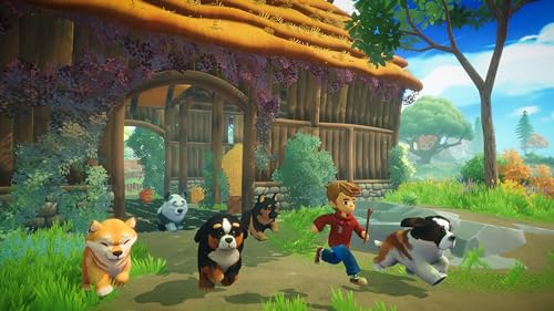 TheGamery.co.uk