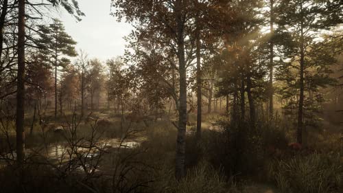 TheGamery.co.uk