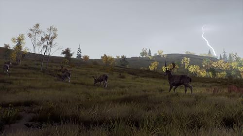 TheGamery.co.uk
