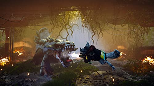 TheGamery.co.uk