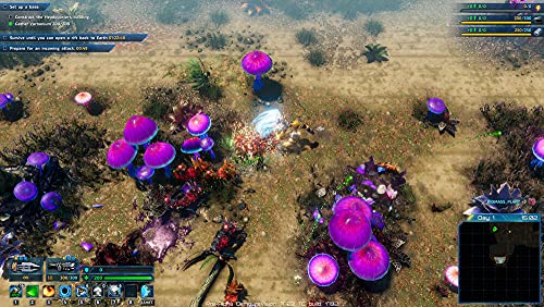 TheGamery.co.uk