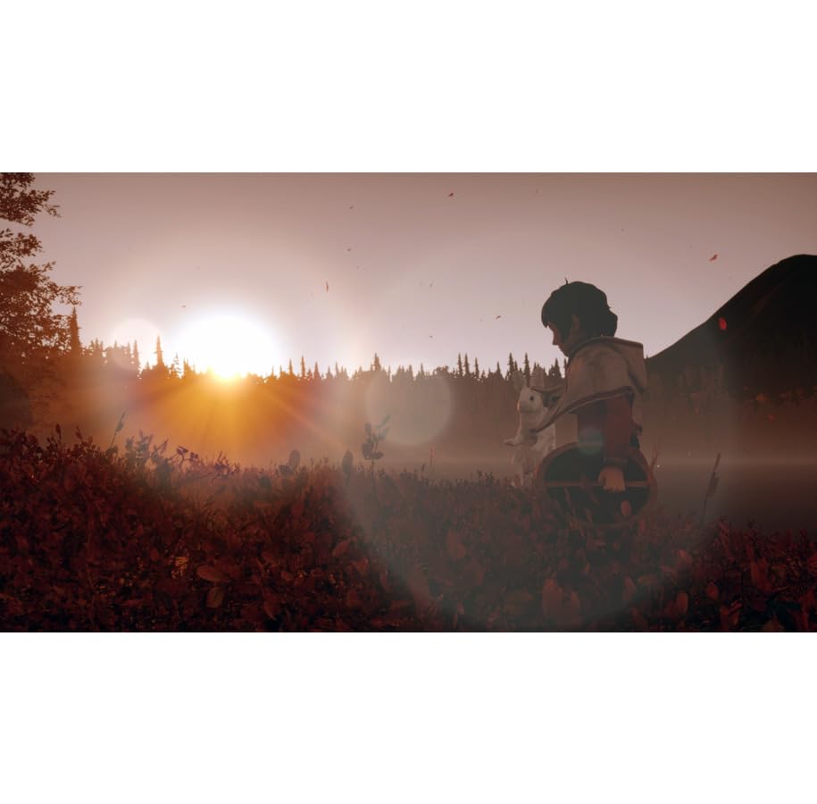 TheGamery.co.uk