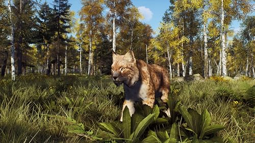 TheGamery.co.uk